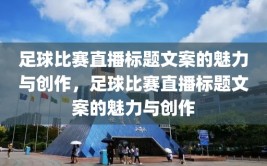 足球比赛直播标题文案的魅力与创作，足球比赛直播标题文案的魅力与创作