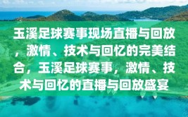 玉溪足球赛事现场直播与回放，激情、技术与回忆的完美结合，玉溪足球赛事，激情、技术与回忆的直播与回放盛宴