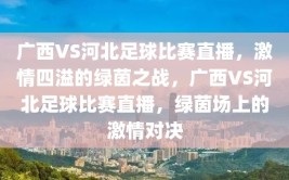 广西VS河北足球比赛直播，激情四溢的绿茵之战，广西VS河北足球比赛直播，绿茵场上的激情对决