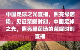 中国足球之光直播，照亮绿茵场，见证荣耀时刻，中国足球之光，照亮绿茵场的荣耀时刻直播