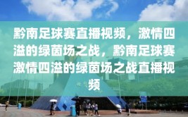 黔南足球赛直播视频，激情四溢的绿茵场之战，黔南足球赛激情四溢的绿茵场之战直播视频