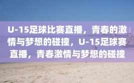 U-15足球比赛直播，青春的激情与梦想的碰撞，U-15足球赛直播，青春激情与梦想的碰撞