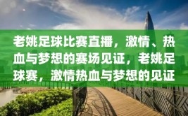 老姚足球比赛直播，激情、热血与梦想的赛场见证，老姚足球赛，激情热血与梦想的见证