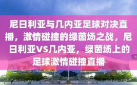 尼日利亚与几内亚足球对决直播，激情碰撞的绿茵场之战，尼日利亚VS几内亚，绿茵场上的足球激情碰撞直播