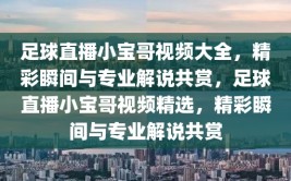 足球直播小宝哥视频大全，精彩瞬间与专业解说共赏，足球直播小宝哥视频精选，精彩瞬间与专业解说共赏