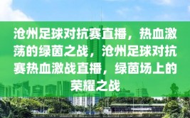 沧州足球对抗赛直播，热血激荡的绿茵之战，沧州足球对抗赛热血激战直播，绿茵场上的荣耀之战