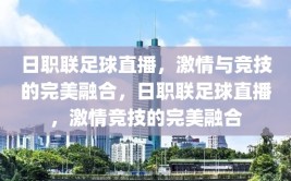 日职联足球直播，激情与竞技的完美融合，日职联足球直播，激情竞技的完美融合