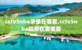 cctv5nba录像在哪看,cctv5nba回放在哪里看