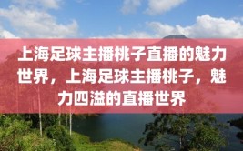 上海足球主播桃子直播的魅力世界，上海足球主播桃子，魅力四溢的直播世界