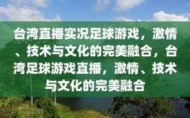 台湾直播实况足球游戏，激情、技术与文化的完美融合，台湾足球游戏直播，激情、技术与文化的完美融合