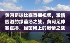 黄河足球比赛直播视频，激情四溢的绿茵场之战，黄河足球赛直播，绿茵场上的激情之战