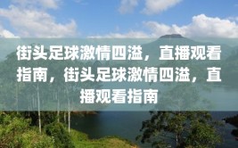 街头足球激情四溢，直播观看指南，街头足球激情四溢，直播观看指南