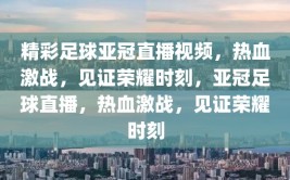 精彩足球亚冠直播视频，热血激战，见证荣耀时刻，亚冠足球直播，热血激战，见证荣耀时刻