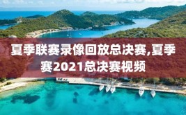 夏季联赛录像回放总决赛,夏季赛2021总决赛视频