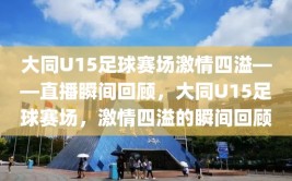 大同U15足球赛场激情四溢——直播瞬间回顾，大同U15足球赛场，激情四溢的瞬间回顾