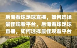 后海看球足球直播，如何选择最佳观看平台，后海看球足球直播，如何选择最佳观看平台