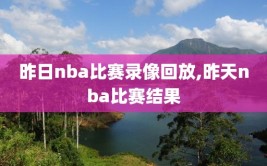 昨日nba比赛录像回放,昨天nba比赛结果