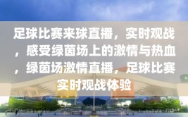 足球比赛来球直播，实时观战，感受绿茵场上的激情与热血，绿茵场激情直播，足球比赛实时观战体验