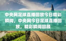 中央网足球直播回放今日精彩瞬间，中央网今日足球直播回放，精彩瞬间回顾