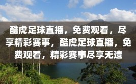 酷虎足球直播，免费观看，尽享精彩赛事，酷虎足球直播，免费观看，精彩赛事尽享无遗