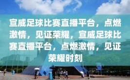 宣威足球比赛直播平台，点燃激情，见证荣耀，宣威足球比赛直播平台，点燃激情，见证荣耀时刻