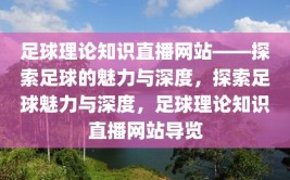 足球理论知识直播网站——探索足球的魅力与深度，探索足球魅力与深度，足球理论知识直播网站导览