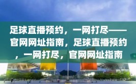 足球直播预约，一网打尽——官网网址指南，足球直播预约，一网打尽，官网网址指南