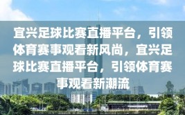 宜兴足球比赛直播平台，引领体育赛事观看新风尚，宜兴足球比赛直播平台，引领体育赛事观看新潮流