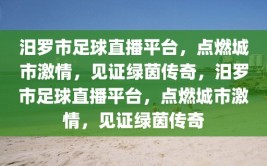 汨罗市足球直播平台，点燃城市激情，见证绿茵传奇，汨罗市足球直播平台，点燃城市激情，见证绿茵传奇