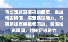 马哥足球直播视频回放，重温精彩瞬间，感受足球魅力，马哥足球直播视频回放，重温精彩瞬间，领略足球魅力