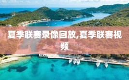 夏季联赛录像回放,夏季联赛视频