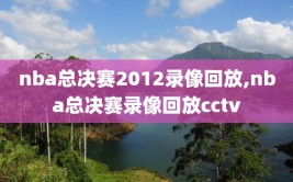 nba总决赛2012录像回放,nba总决赛录像回放cctv