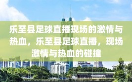 乐至县足球直播现场的激情与热血，乐至县足球直播，现场激情与热血的碰撞