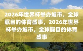 2026年世界杯举办城市，全球瞩目的体育盛事，2026年世界杯举办城市，全球瞩目的体育盛事