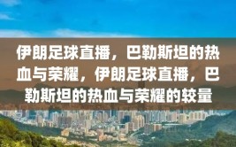 伊朗足球直播，巴勒斯坦的热血与荣耀，伊朗足球直播，巴勒斯坦的热血与荣耀的较量