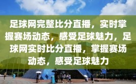 足球网完整比分直播，实时掌握赛场动态，感受足球魅力，足球网实时比分直播，掌握赛场动态，感受足球魅力