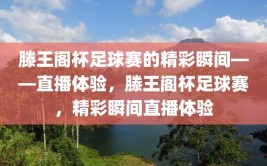 滕王阁杯足球赛的精彩瞬间——直播体验，滕王阁杯足球赛，精彩瞬间直播体验