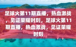 足球火第11期直播，热血激战，见证荣耀时刻，足球火第11期直播，热血激战，见证荣耀时刻