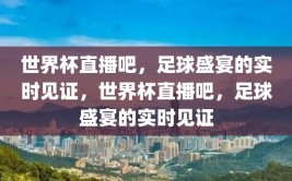 世界杯直播吧，足球盛宴的实时见证，世界杯直播吧，足球盛宴的实时见证