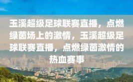 玉溪超级足球联赛直播，点燃绿茵场上的激情，玉溪超级足球联赛直播，点燃绿茵激情的热血赛事