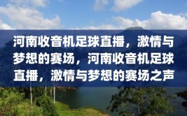 河南收音机足球直播，激情与梦想的赛场，河南收音机足球直播，激情与梦想的赛场之声