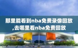 那里能看到nba免费录像回放,去哪里看nba免费回放