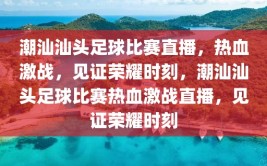 潮汕汕头足球比赛直播，热血激战，见证荣耀时刻，潮汕汕头足球比赛热血激战直播，见证荣耀时刻