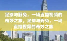 足球与野兔，一场直播视频的奇妙之旅，足球与野兔，一场直播视频的奇妙之旅