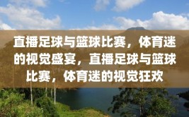 直播足球与篮球比赛，体育迷的视觉盛宴，直播足球与篮球比赛，体育迷的视觉狂欢