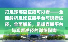 打足球哪里直播可以看——全面解析足球直播平台与观看途径，全面解析，足球直播平台与观看途径的详细指南