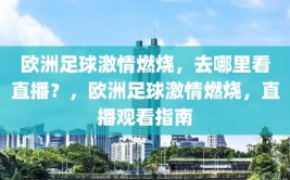 欧洲足球激情燃烧，去哪里看直播？，欧洲足球激情燃烧，直播观看指南