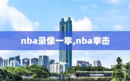 nba录像一拳,nba拳击