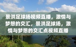 景洪足球场视频直播，激情与梦想的交汇，景洪足球场，激情与梦想的交汇点视频直播