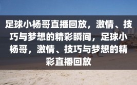 足球小杨哥直播回放，激情、技巧与梦想的精彩瞬间，足球小杨哥，激情、技巧与梦想的精彩直播回放